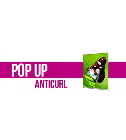 POP-UP